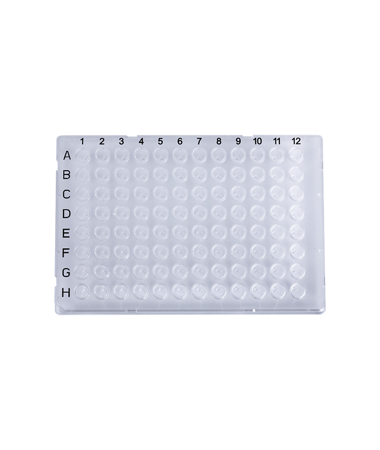 PCR20-C-96-FS-BC 0,2 ml klare 96-Well-PCR-Platte mit vollem Rand